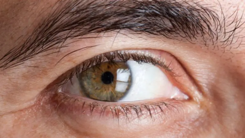 Diabetes Symptoms in the Eyes: An Insight into Diabetic Eye Diseases