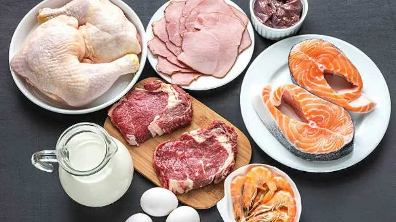 Dukan Diet: An In-depth Exploration